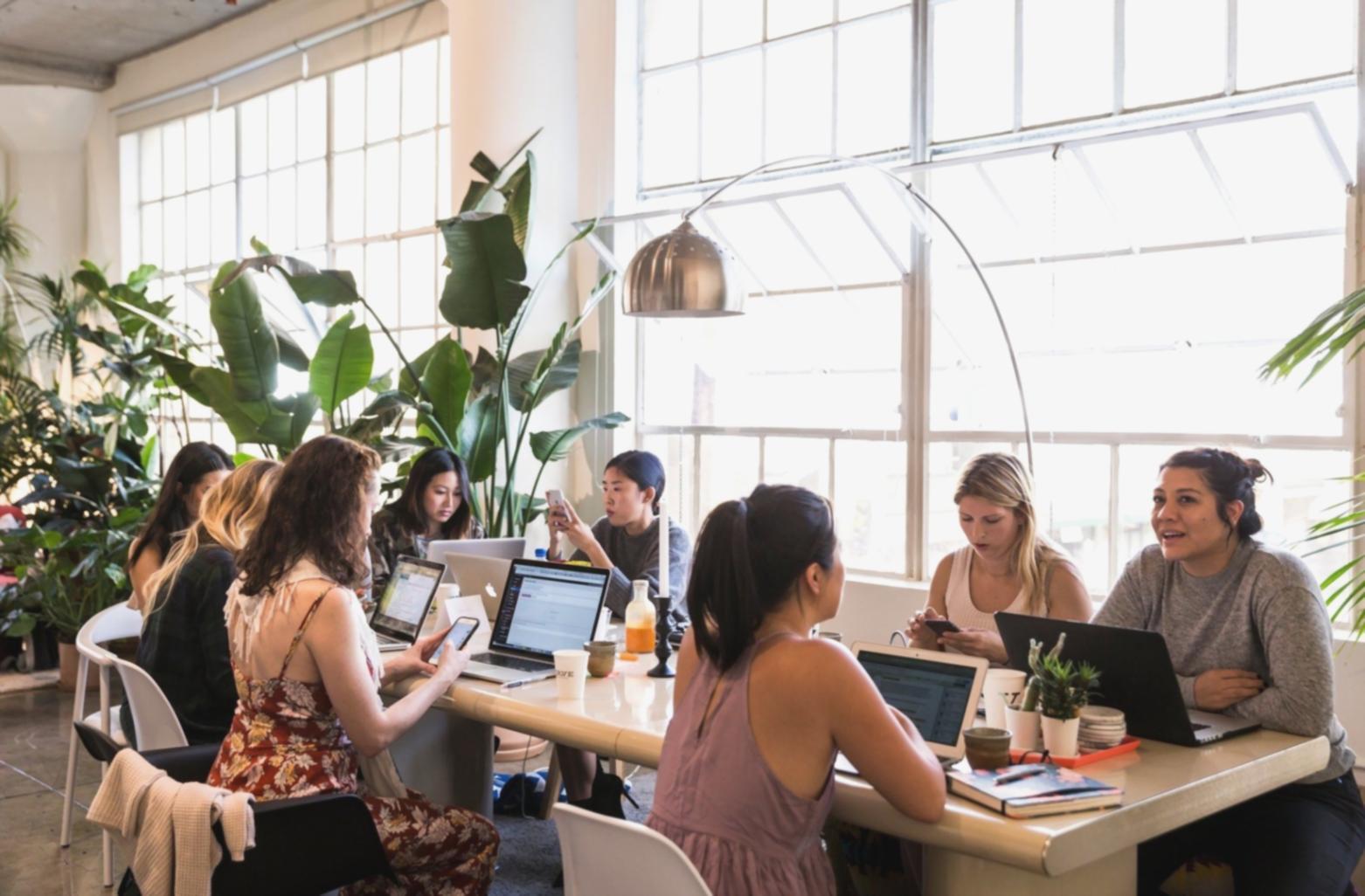 Espace de travail collaboratif pour l'apprentissage de la négociation budgétaire
